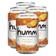 Humm | Original Mango Passionfruit Kombucha Whole30